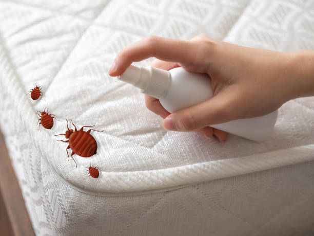 Best Affordable Pest Control Services  in Susquehanna Trails, PA