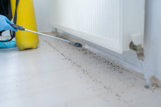 Pest Control Cost in Susquehanna Trails, PA